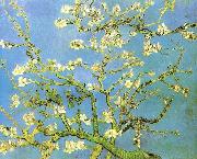 Vincent Van Gogh, Blossomong Almond Tree